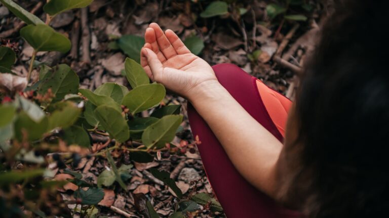 Quelles plantes adopter pour mieux gérer les périodes de stress ?